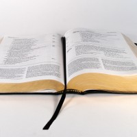 Domain Bible © Study References