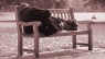 There should be no poor among you
